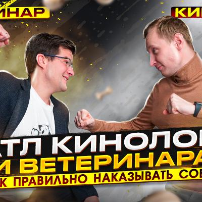 Как правильно наказывать собаку? Как правильно наказывать собаку?