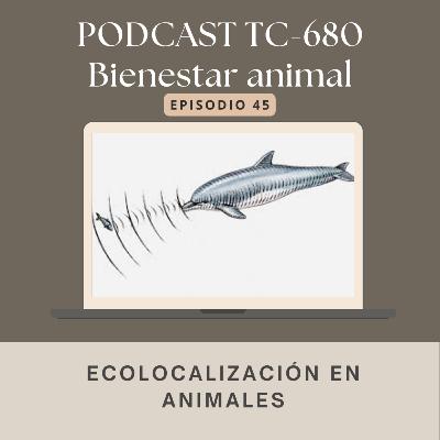Episodio 45. Ecolocalización en animales