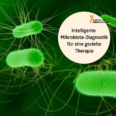 KyberBiom: Intelligente Mikrobiota-Diagnostik für eine gezielte Therapie