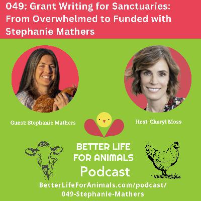 049: Grant Writing for Sanctuaries: From Overwhelmed to Funded with Stephanie Mathers 049: Grant Writing for Sanctuaries: From Overwhelmed to Funded with Stephanie Mathers