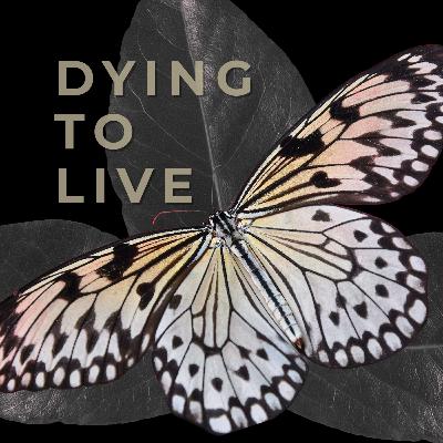 What does the law do? (Rom 7:7-13) | James Green