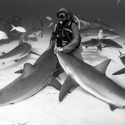 067_ Interview: 🦈 The wisdom of Sharks | Cristina Zenato and her relationship with the ocean 🤿