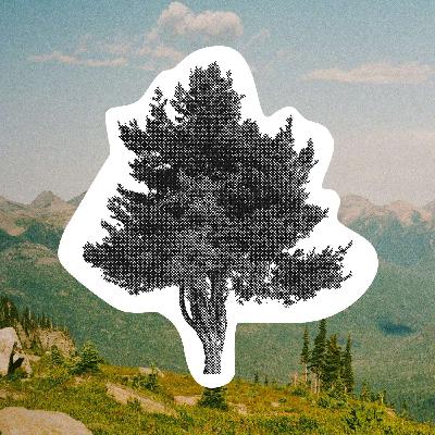 Reconnection Through Reciprocity: Learning From Nature