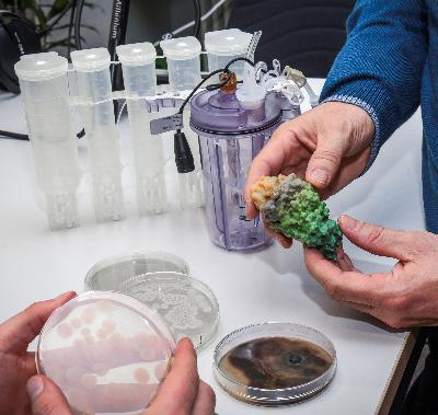 Weiße Biotechnologie: Der Schlüssel für mehr Nachhaltigkeit?!
