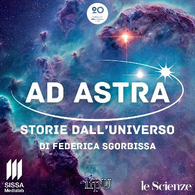 Puntata n.6: La ragnatela infinita - cosmic web