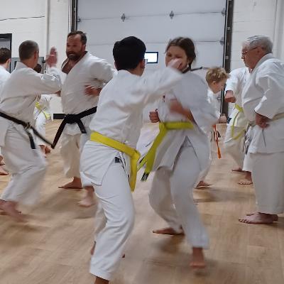 Episode 53: Tips for Karate Instructors (Part 3) – Teaching Kumite Episode 53: Tips for Karate Instructors (Part 3) – Teaching Kumite