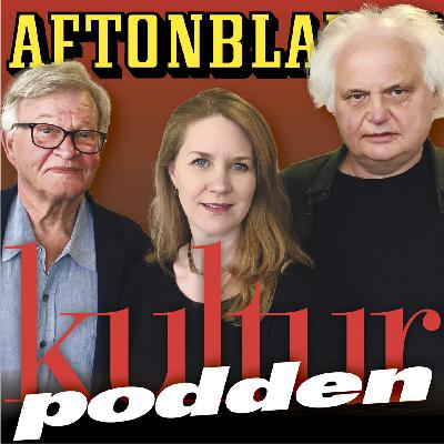 #7 Bäst i klassen - Édouard Louis Vem dödade min far