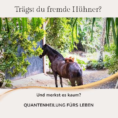 Trägst du fremde Hühner – und merkst es kaum?