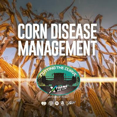 Farming Podcast | Corn Disease Management Strategy | XtremeAg