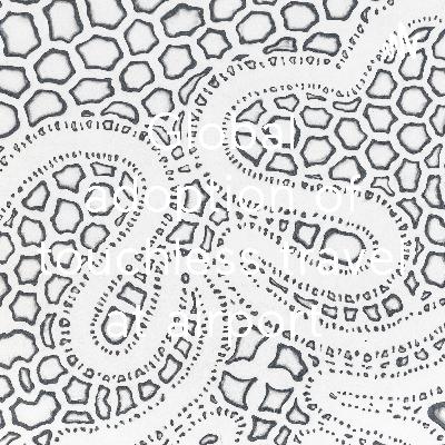 Princess Consuela Bananahamak and her touchless travel research