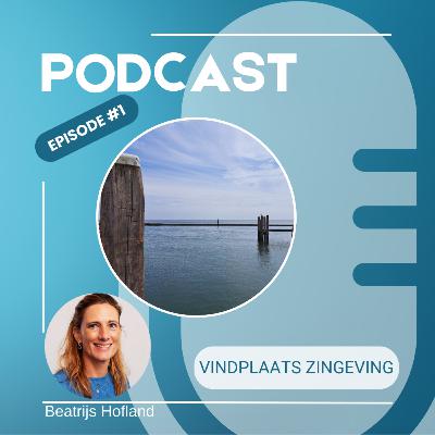 Vindplaats zingeving #1