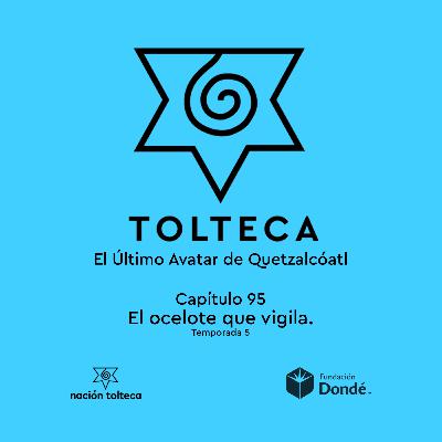 Capítulo 95) El ocelote que vigila