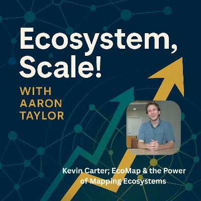 EcoMap and the Power of Mapping Ecosystems