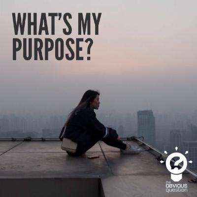 What's my purpose? What's my purpose?