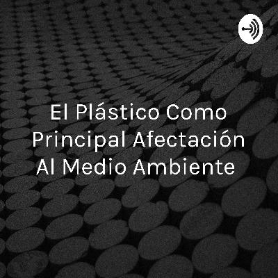 El plástico como principal afectación al medio ambiente