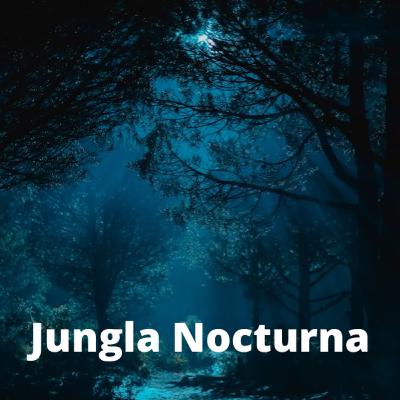Jungla Nocturna (8 horas) - Sonidos de la naturaleza para relajarse y dormir
