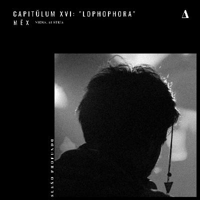 Capitŭlum XVI: m ë x | "Lophophora"
