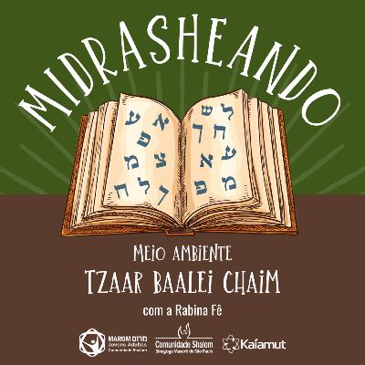 #43 - Meio Ambiente - Tzaar Baalei Chaim