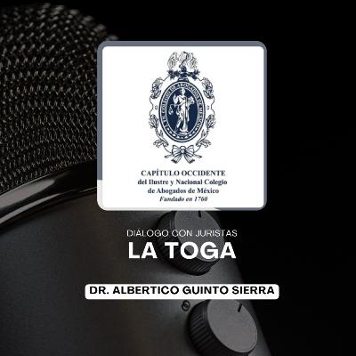 Derecho penal económico