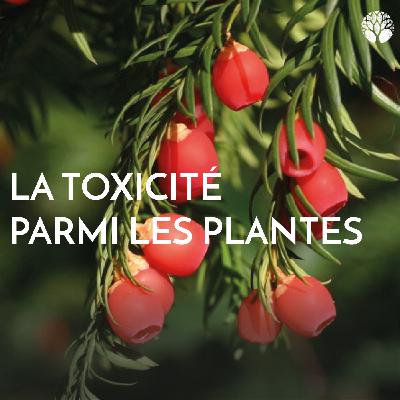 La toxicité parmi les plantes