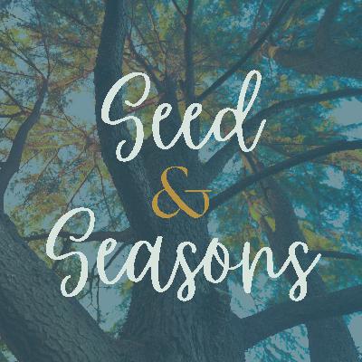 The Ruler | Genesis 49:8-12