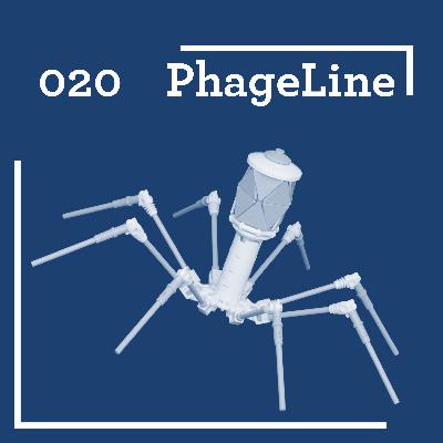 PhageLine #20: Is SARS-CoV-2 a Bacteriophage?