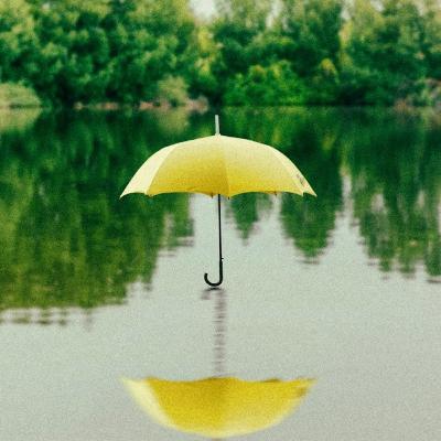 Episode 59 - Conversation about imothy Snyder’s book On Tyranny. Episode 59 - Conversation about imothy Snyder’s book On Tyranny.