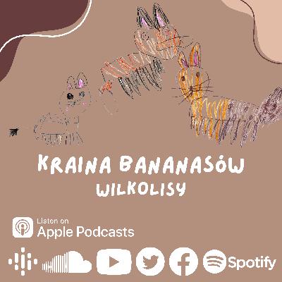Kraina Bananasów - Wilkolisy