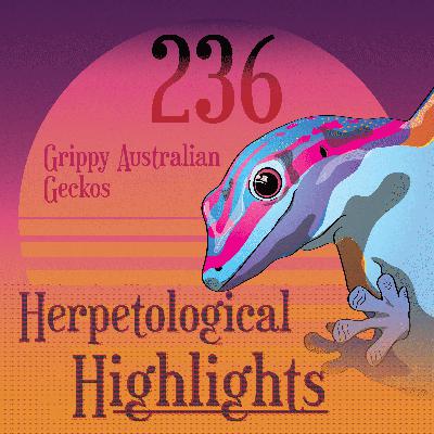 236 Grippy Australian Geckos 236 Grippy Australian Geckos