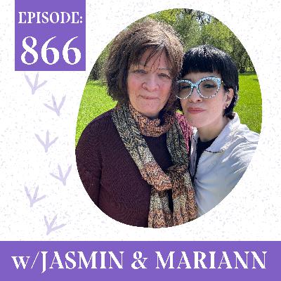 The Hen Report: “That’s Not How The Law Works” | Legal Battles for Animal Rights The Hen Report: “That’s Not How The Law Works” | Legal Battles for Animal Rights