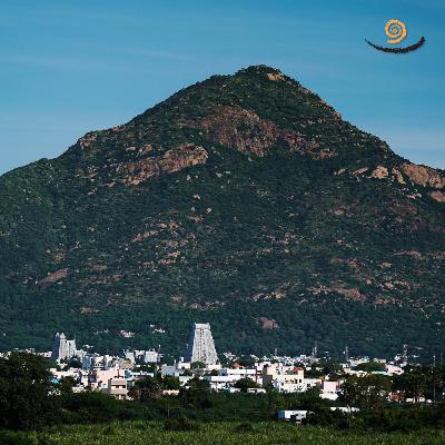 562. Recognise the power of Silence - Non Duality Satsang