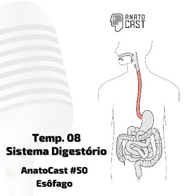AnatoCast #50 - Esôfago AnatoCast #50 - Esôfago
