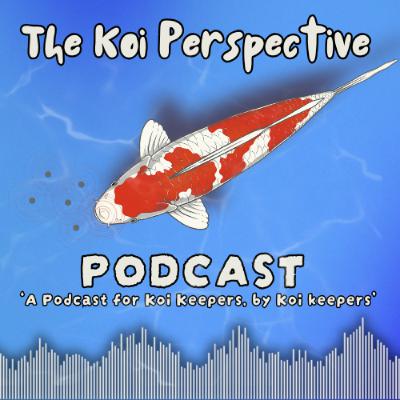 Koi Food TESTED! - Results from New Forest Koi Koi Food TESTED! - Results from New Forest Koi