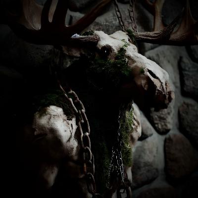 Ep 40: Moss and Bone Ep 40: Moss and Bone