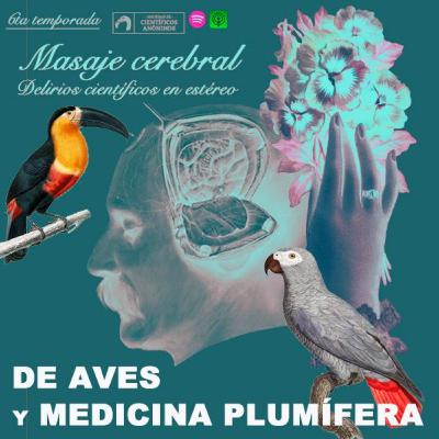 DE AVES Y MEDICINA PLUMÍFERA