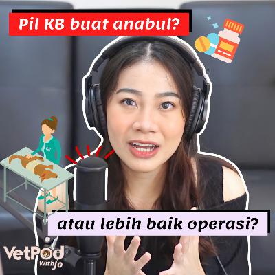 PETS 101 Eps. 04 Pil KB Buat Anabul?