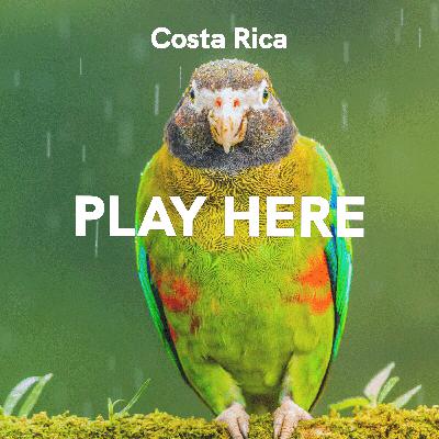 Costa Rica: Play Here