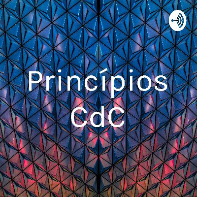 Princípios do Direito do Consumidor