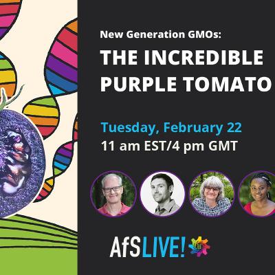 New Generation GMOs: The incredible purple tomato New Generation GMOs: The incredible purple tomato