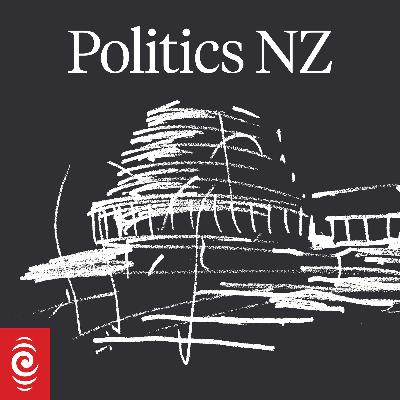 Introducing: Politics NZ