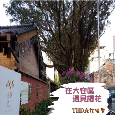 大安社大112-2秋季班｜在大安區遇見櫻花