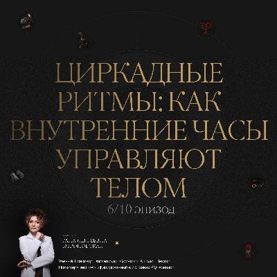 6/10 Циркадные ритмы: как внутренние часы управляют телом