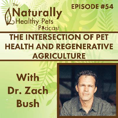 EP 54: The Intersection of Pet Health and Regenerative Agriculture with Zach Bush, MD