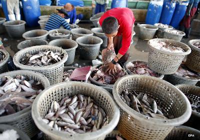 เรือประมงไทยงดออกเรือ