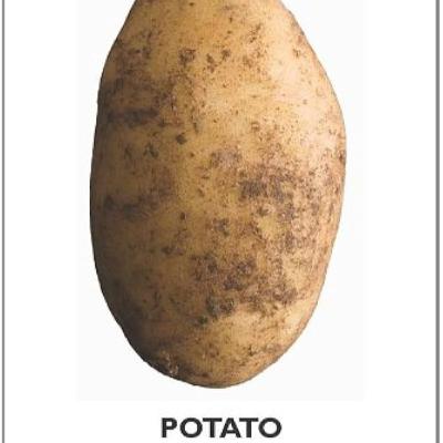 Book Taters