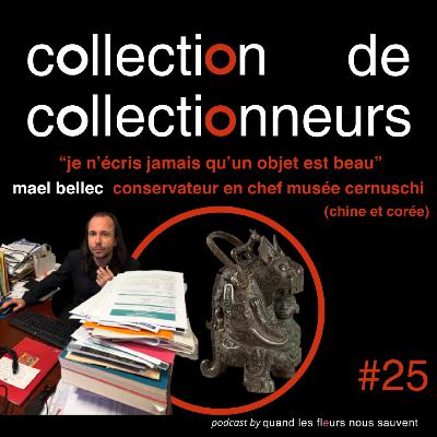 mael bellec - conservateur en chef musée cernuschi (chine et corée): "je n'écris jamais qu'un objet est beau"