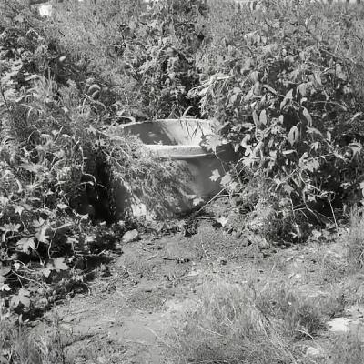 67.水井藏尸案二则，无法闭口的真相