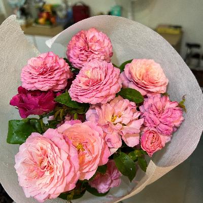 #53 Thứ cho mình cảm giác “đang sống” chứ không “tồn tại” #53 Thứ cho mình cảm giác “đang sống” chứ không “tồn tại”