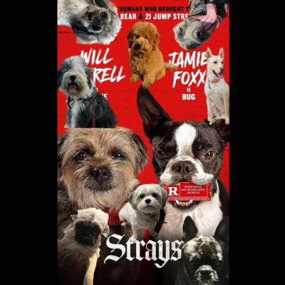 El Review Que Nadie Pidió de Strays