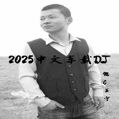 2025中文车载串烧DJ